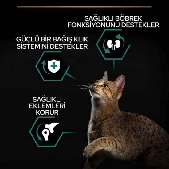 Purına kedi maması pro plan 3