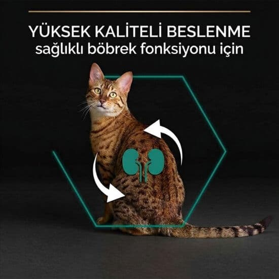 Purına kedi maması pro plan 2